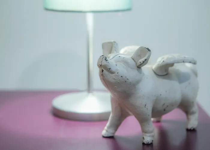 Gasthuis Maison Jolie